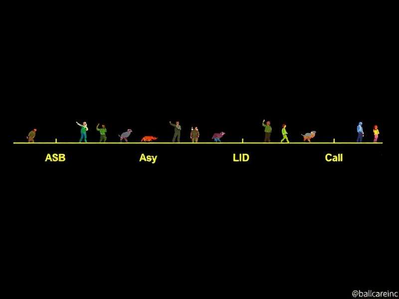 Sequence board game setup with cards and chips